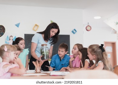 Female Teacher with kids in biology class at elementary school conducting biology or botanical scientific experiment about sustainable Growing plants. Learning about plants in a glass jar - Powered by Shutterstock