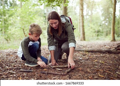 Female Team Leader With Boys At Outdoor Activity Camp Building Fire In Woodland Together - Powered by Shutterstock