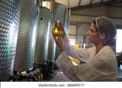 Female technician examining olive oil in factory - Powered by Shutterstock