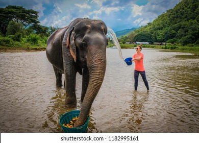 Female Tourist Baths An Elderly Female Asian Elephant While She Eats Fruit From A Basket In The Calm Muddy River Water  At Elephant Nature Park In Chiang Mai, Thailand