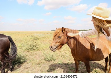 Female Tourist With Cute Pony Horse In Wildlife Sanctuary