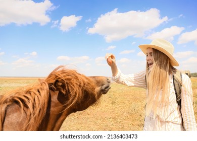 Female Tourist With Cute Pony Horse In Wildlife Sanctuary