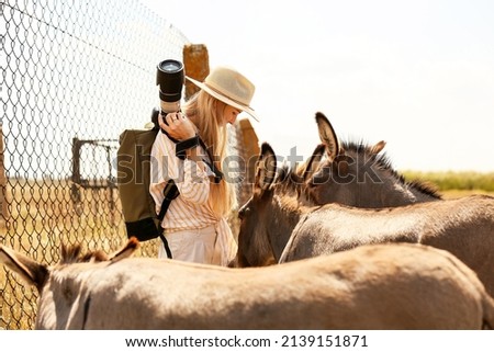 Female tourist with donkeys in wildlife sanctuary