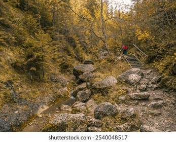 A female tourist hiking along a rocky trail in a colorful autumn forest, surrounded by trees and a flowing stream. The serene landscape evokes a sense of adventure and tranquility - Powered by Shutterstock