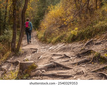 A female tourist hiking along a rocky trail in a colorful autumn forest, surrounded by trees and a flowing stream. The serene landscape evokes a sense of adventure and tranquility - Powered by Shutterstock