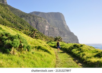 Female tourist hiking on Lord Howe Island overlooking Mount Gower, New South Wales, Australia