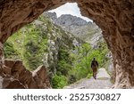 A female tourist hiking the picturesque Cares gorge in the Picos de Europa mountains, Asturias in Northern Spain