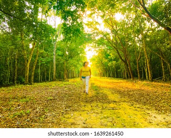 Female Tourist Walking In The Tropical Rain Forest Of Tikal National Park At Sunset Receiving Golden Sunlight, Guatemala