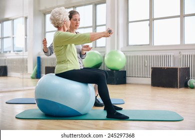 Female trainer assisting senior woman lifting weights in gym. Senior woman sitting on pilates ball doing weight exercise being assisted by personal trainer at health club. - Powered by Shutterstock