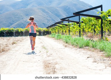 Female Triathlete Running On A Trail On A Bright Sunny Day Winelands And Vineyards Of The Western Cape Of South Africa