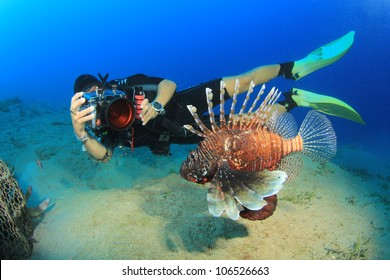 Female underwater photographer takes a photo of a Lionfish