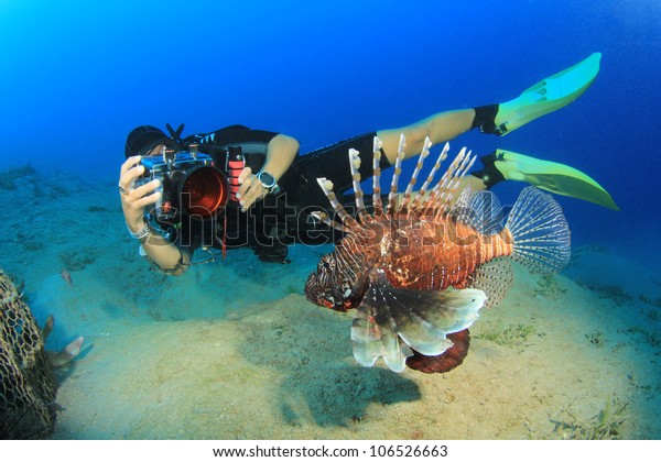Female underwater photographer takes a photo of\
a Lionfish