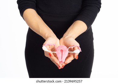 Female uterus. Organs reproductive system. Girl is showing model of uterus. Uterus and ovaries mockup. Woman anatomy and health. Anatomy of female body. Woman on white background. 