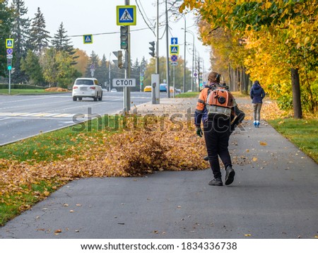 A female utility worker uses a blower to remove fallen leaves in an alley in a park. Yellow leaves are flying in the air. Seasonal work concept.