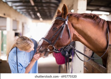 Female vet checking horse teeth while standing in stable - Powered by Shutterstock