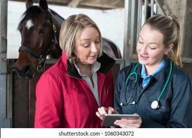 Female Vet Examining Horse In Stables Showing Owner Digital Tablet - Powered by Shutterstock