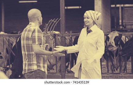 Female Vet And Professional Worker Talking In Livestock Barn
