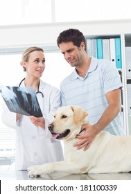 Female Vet Showing Xray Of Dog To Pet Owner In Clinic