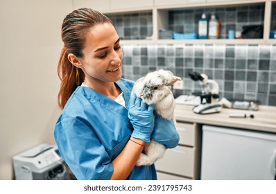 Female veterinarian in blue uniform conducting routine examination of domestic ornamental fluffy rabbit in the office of a modern veterinary clinic. Treatment and vaccination of pets. - Powered by Shutterstock