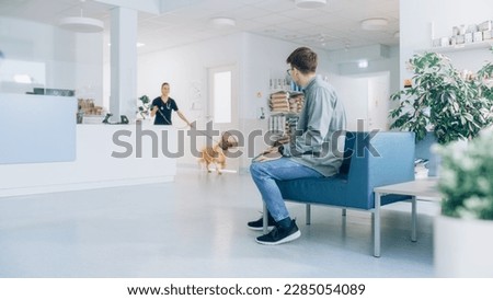 Female Veterinarian Brings a Pet Golden Retriever Back to the Owner. A Young Man Waiting for His Pet in the Veterinary Clinic Waiting Room. Dog is Wearing an E-Collar and is Happy to See the Owner