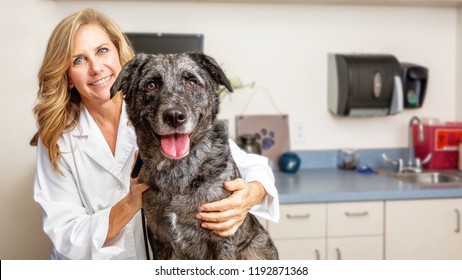 Female Veterinarian Doctor Holding A Happy Dog On An Exam Room Table