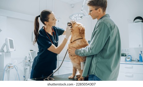 Female Veterinarian Examining Canine Teeth and Fangs of a Pet Golden Retriever. Dog Owner Brings His Furry Friend to a Modern Veterinary Clinic for a Check Up Visit - Powered by Shutterstock