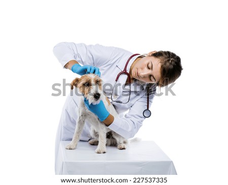 Similar – Foto Bild glücklicher Jack Russell Hund, der bei Sonnenuntergang auf einem Holzpier läuft.