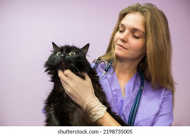 Female Veterinarian Holding A Black Cat In Her Arms In The Clinic