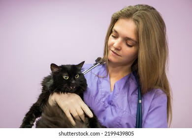 Female Veterinarian Holding A Black Cat In Her Arms In The Clinic