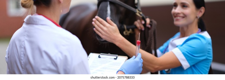 Female veterinarian holding test tube in front of thoroughbred horse