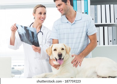 Female Veterinarian And Pet Owner Discussing Xray Of Dog In Clinic