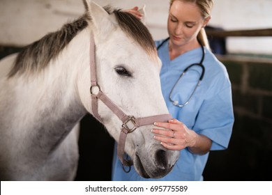 Female veterinarian stroking horse while standing in stable - Powered by Shutterstock