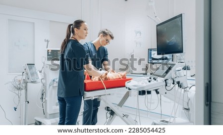 Female Veterinarian Using a Probe to Diagnose a Red Maine Coon That is Laying on a Check Up Table. Handsome Vet Assistant Holding the Kitten to Calm Him Down. Ultrasound Images Appear on Monitor