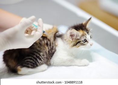 20,240 Giving injection Images, Stock Photos & Vectors | Shutterstock