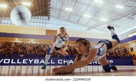 Female volleyball players in action on professional stadium
 - Shutterstock ID 2234940159