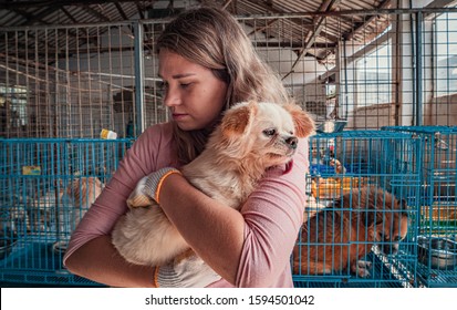 Female volunteer holds on hands little dog in shelter. Shelter for animals concept - Powered by Shutterstock