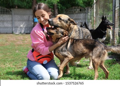 Female volunteer with homeless dogs at animal shelter outdoors - Shutterstock ID 1537526765