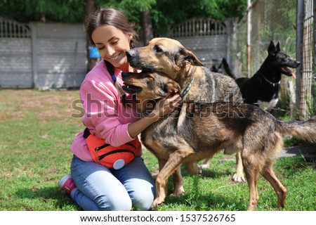 Female volunteer with homeless dogs at animal shelter outdoors