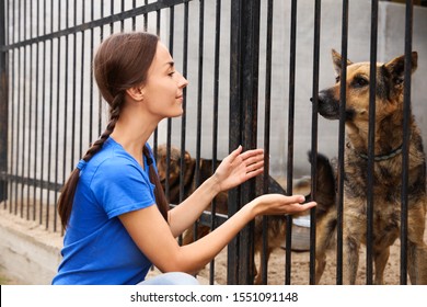 Female Volunteer Near Dog Cage At Animal Shelter Outdoors