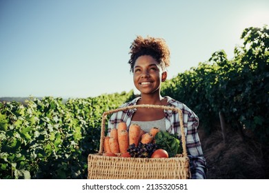 female walking through vineyards smiling holding large basket of vegetbales  - Powered by Shutterstock