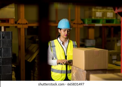 Female Warehouse Worker Checking Delivering Boxes. Distribution Center. Logistics Concept.