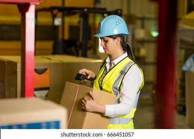 Female Warehouse Worker Checking Delivering Boxes Stock Photo (Edit Now ...