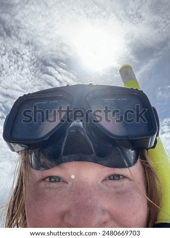 Similar – Image, Stock Photo the perfect wave Joy Life