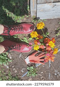 Female wearing Red Leather Boots in a Garden, with Marigold Flowers Bouquet and Rubber Glove on the Ground on a Sunny Day in August, Outdoor Urban Gardening, Plants, Gardener, Labour, Work, Result - Shutterstock ID 2279596579