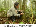 A female wildlife biologist setting a camera trap in the forest