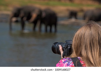 Female Wildlife Photographer