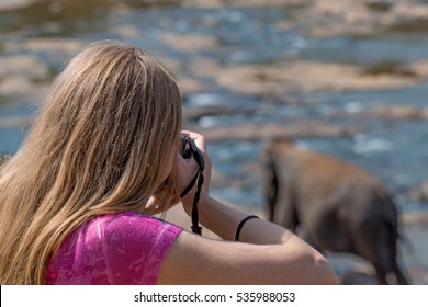 Female Wildlife Photographer