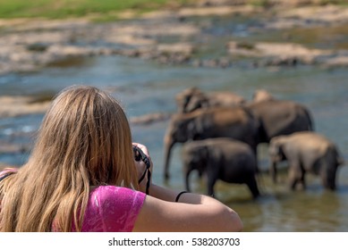 Female Wildlife Photographer