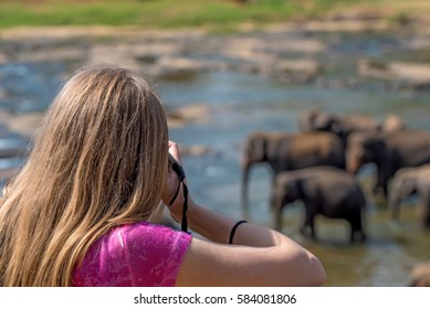 Female Wildlife Photographer