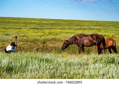 Female Wildlife Photographer